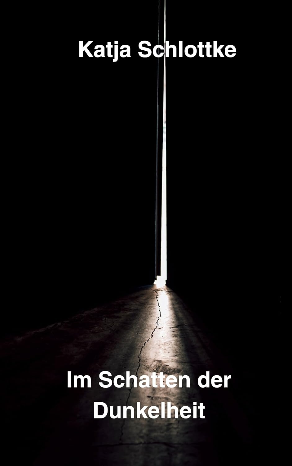 Buchcover Im Schatten der Dunkelheit von Katja Schlottke